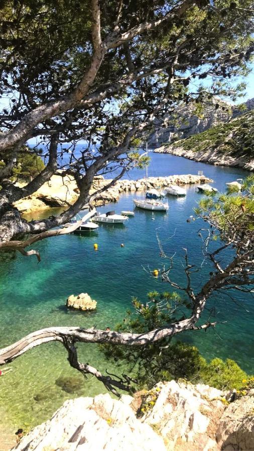 Le Sept Charmant Studio Aux Portes Des Calanques Cassis Exterior photo